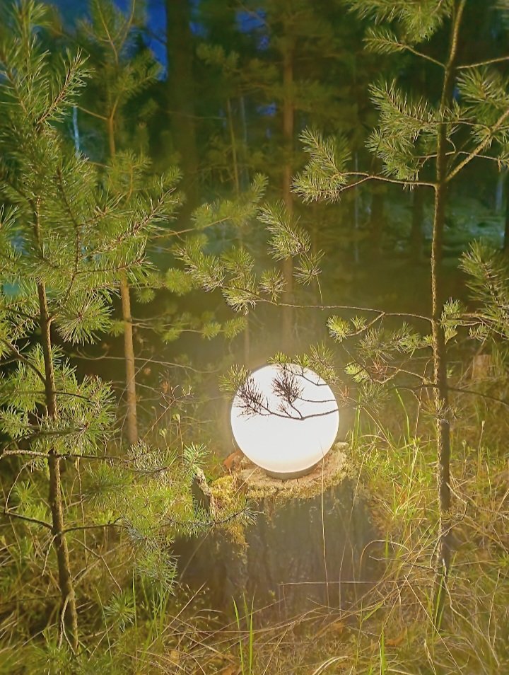 Screenshot_20260510_230701_Gallery.jpg