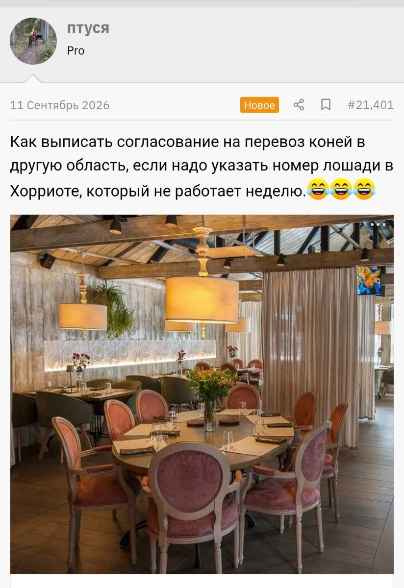 Screenshot_20260920_013041_Chrome.jpg