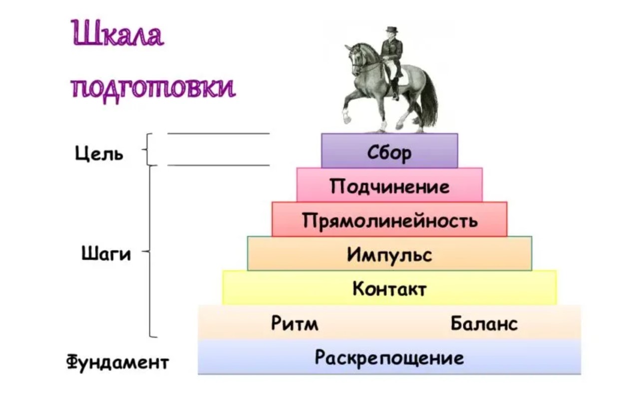 Screenshot_6.jpg