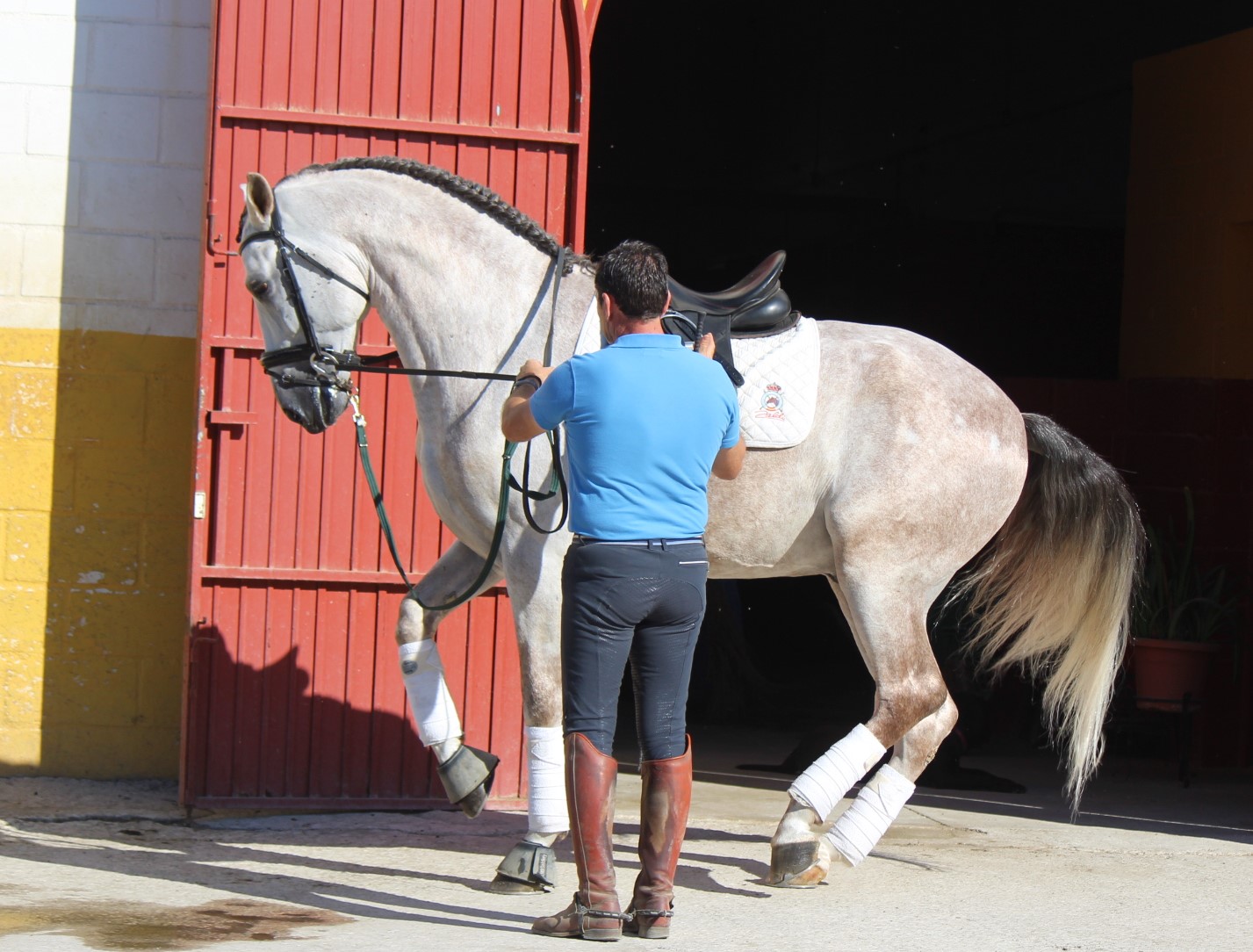 Señorito de Lara 24.09 (4).jpeg