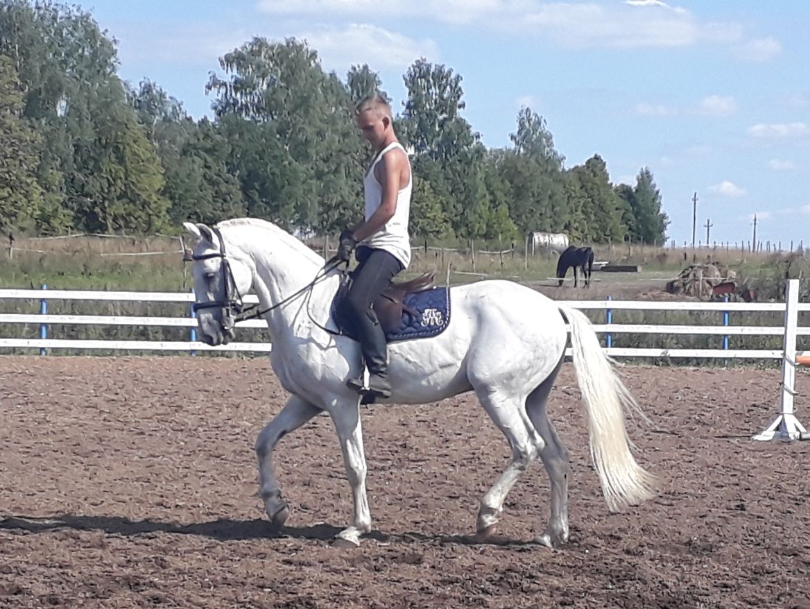 сер1.jpg