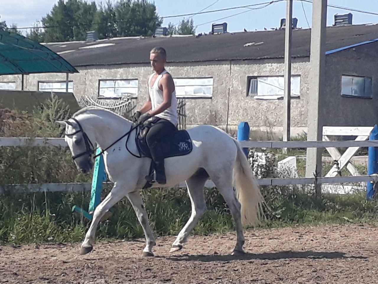 сер2.jpg