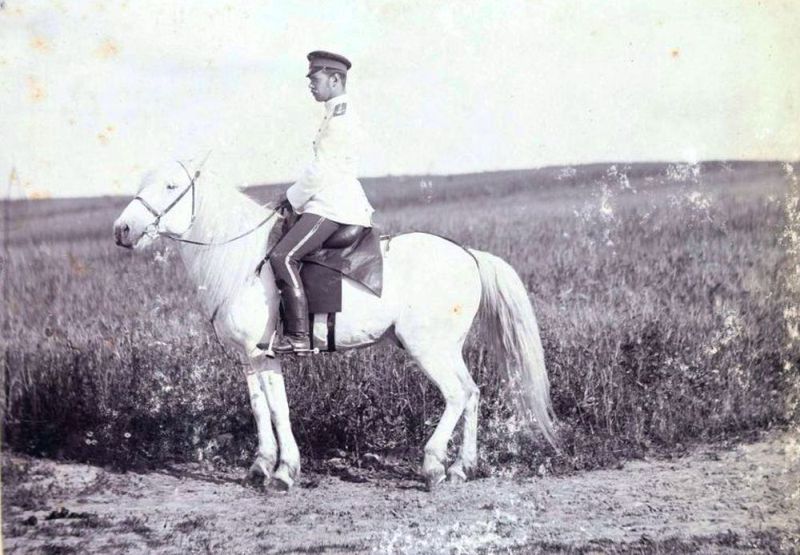 Серко и цесаревич.jpg