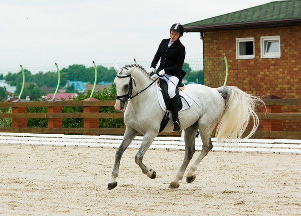 Ширигольмунд М., ОД.jpg