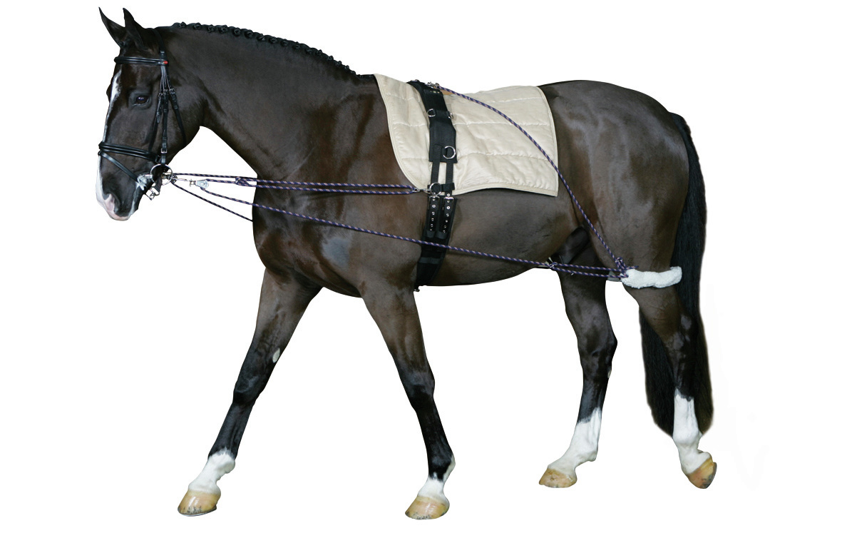 shleya-kozhanaya-quot-cheval-quot-scan-horse-a-s.jpg