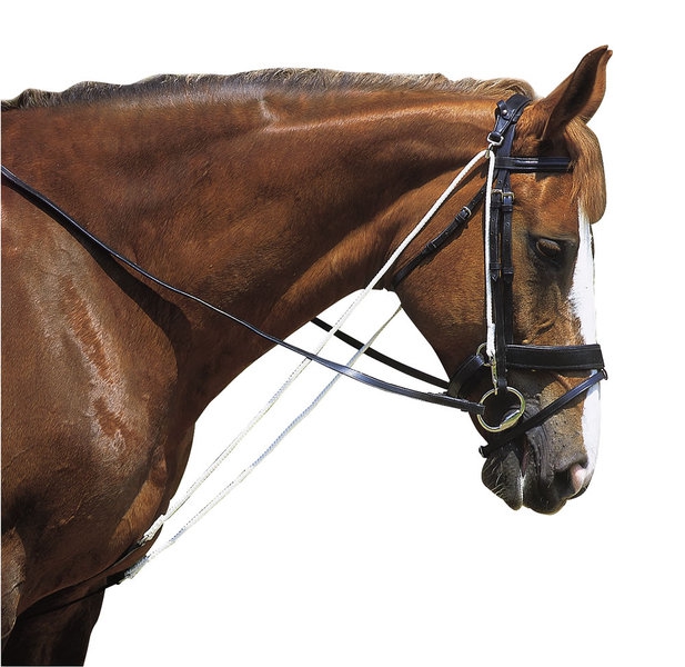 shop_items_catalog_image41537.jpeg