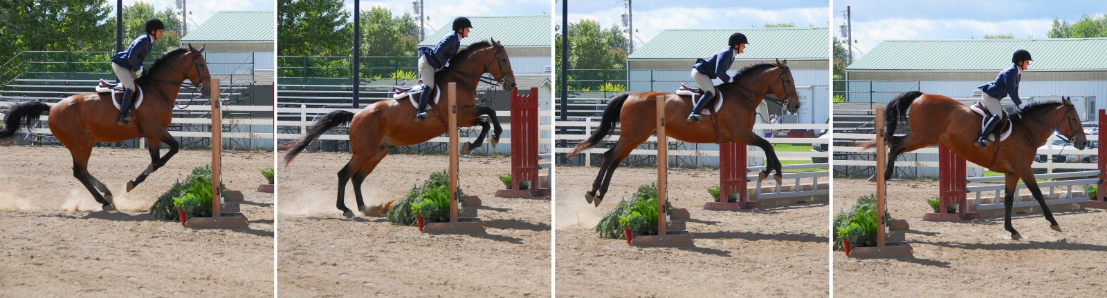 Show_jumping_sequence,_Delaware.jpg