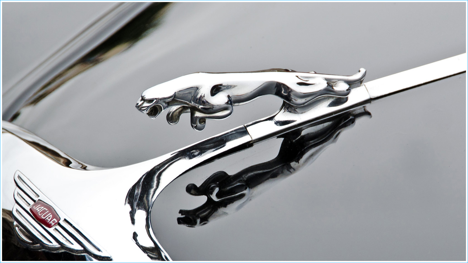 sigle-jaguar.jpg