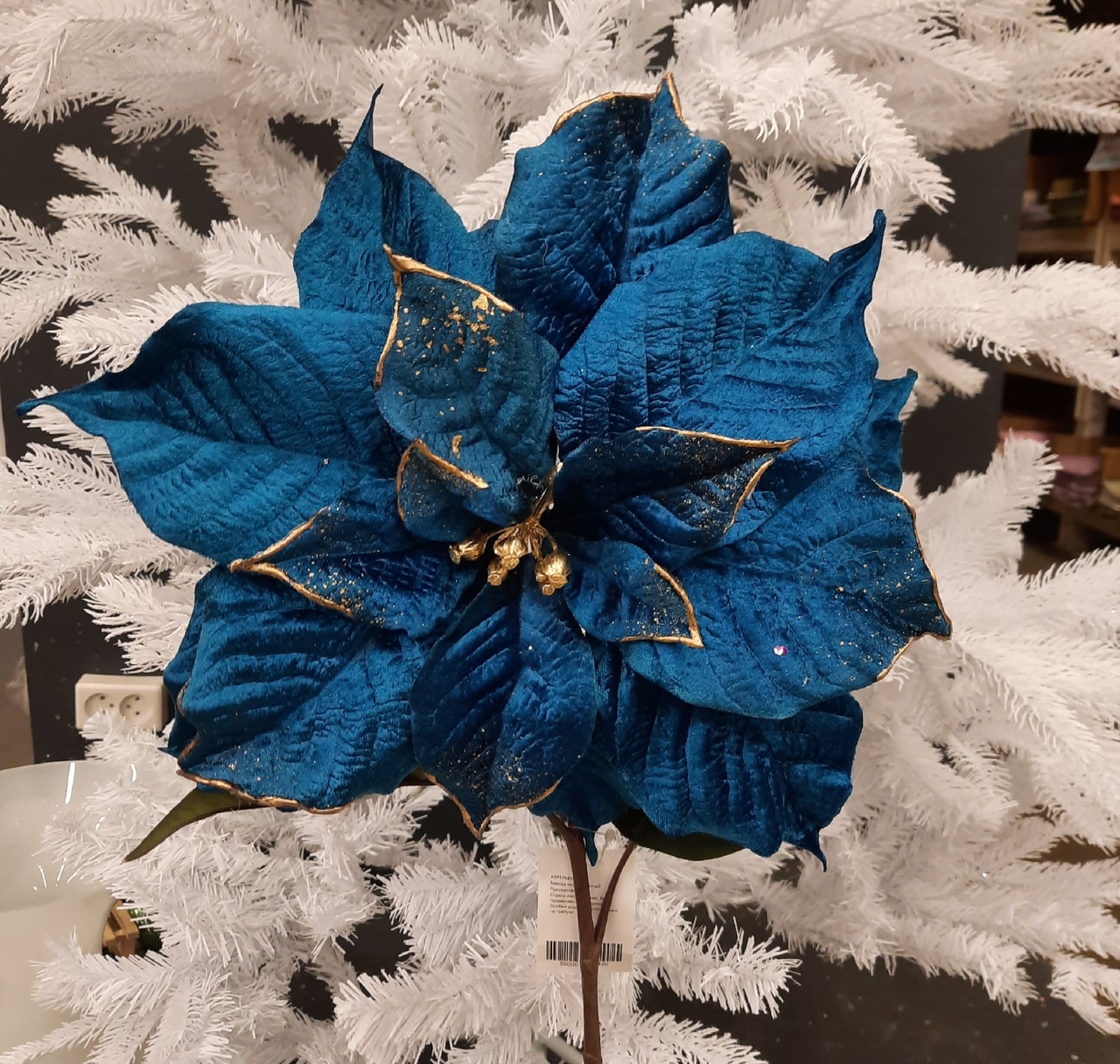 синяя пуансеттия.jpg