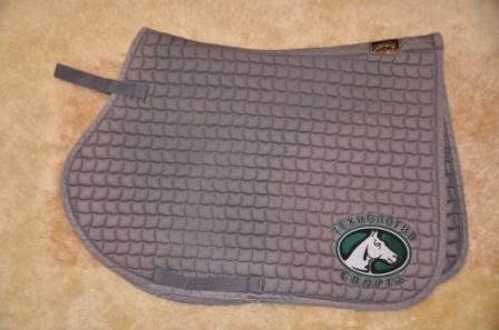 скачки эскадрон вальтрап 800.JPG