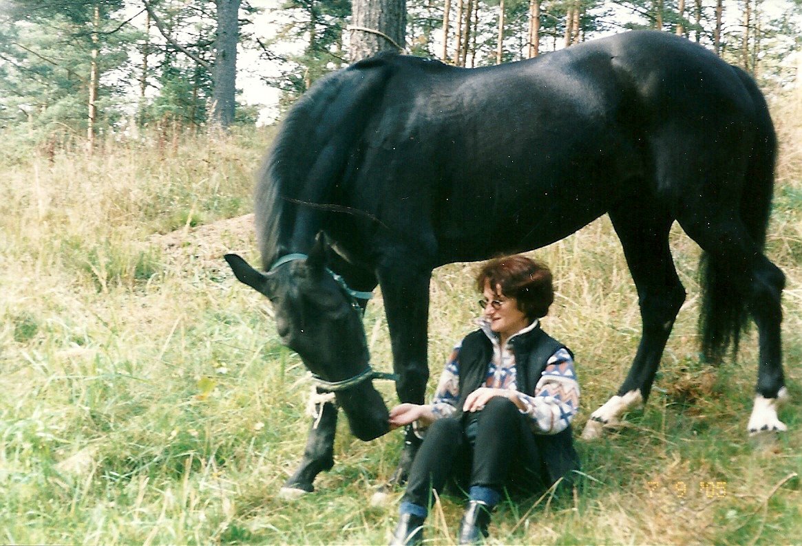 сканирование0004.jpg