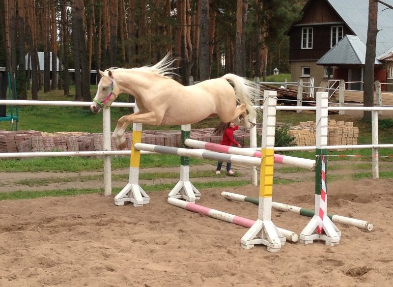 smalljump.jpg