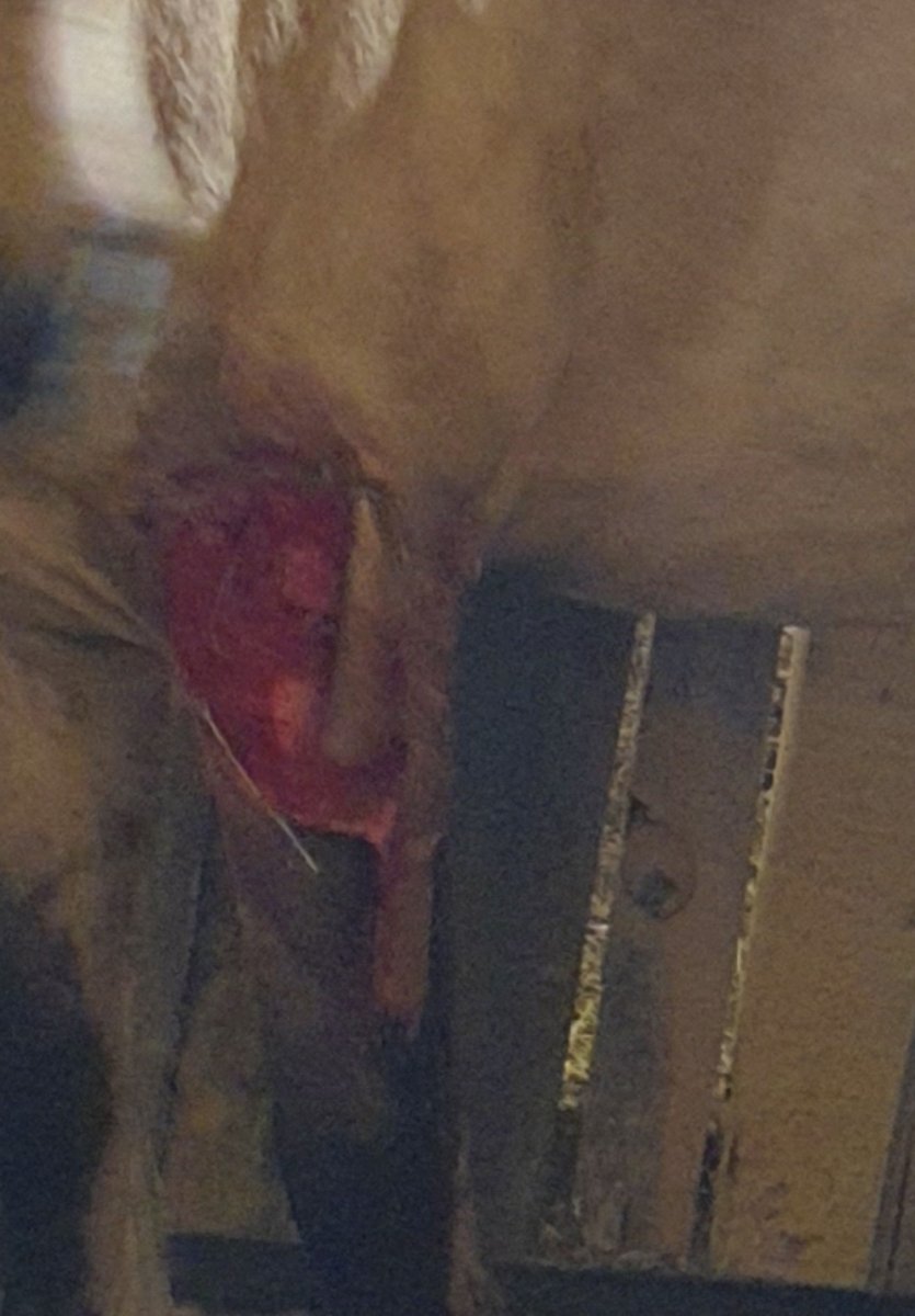 SmartSelect_20211027-175343_Gallery.jpg