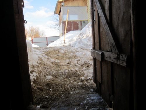 снег 097.JPG