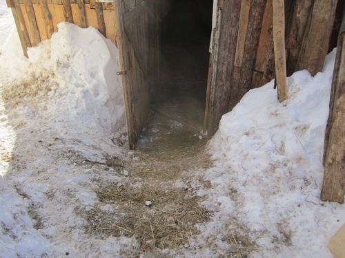 снег 099.JPG