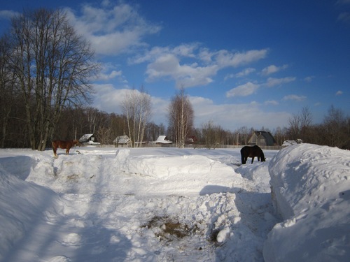 снег 114.JPG