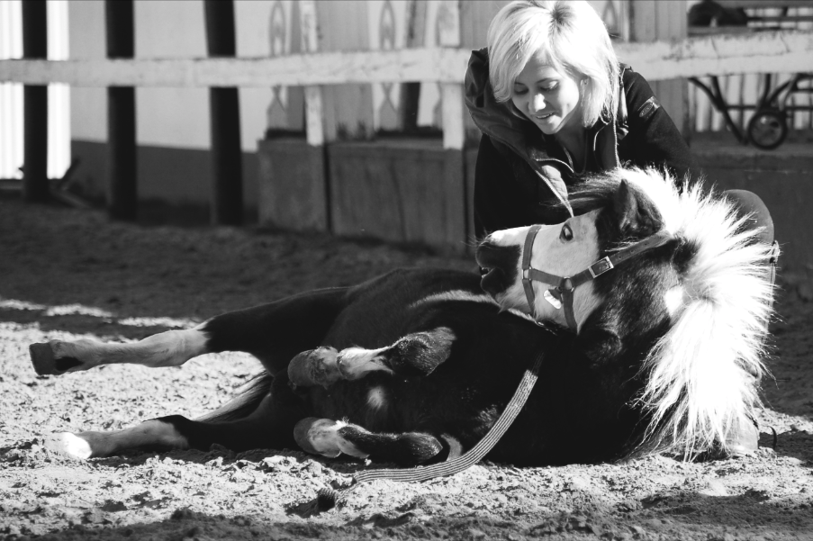 Снимок экрана 2016-10-14 в 23.11.36.png