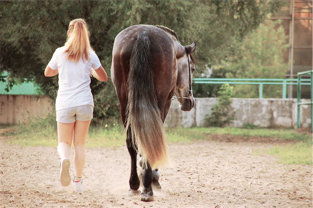 Снимок экрана 2016-10-14 в 23.13.09.png