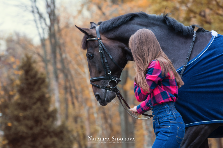 Снимок экрана 2016-10-15 в 2.09.16.png