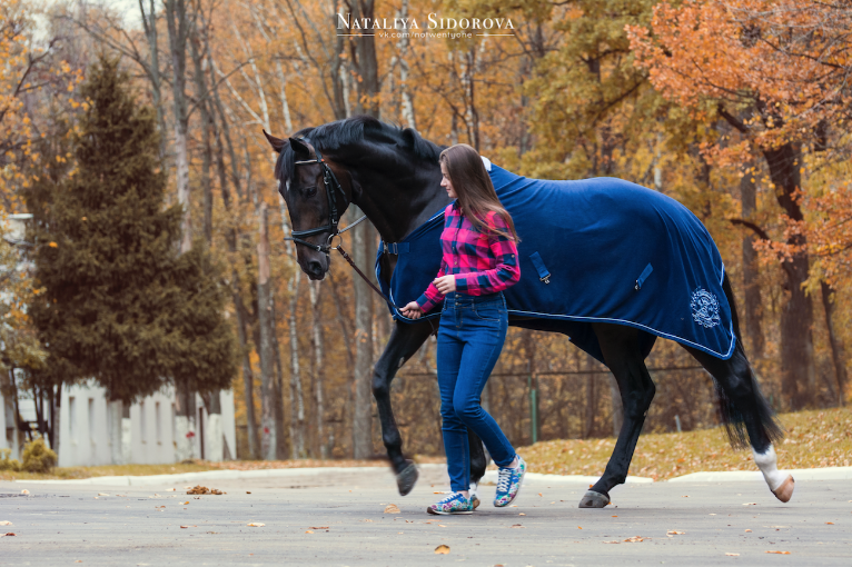 Снимок экрана 2016-10-15 в 2.09.27.png