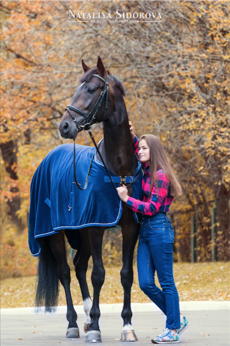Снимок экрана 2016-10-15 в 2.10.30.png
