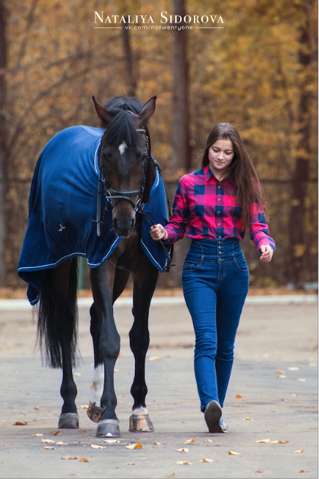 Снимок экрана 2016-10-15 в 2.10.39.png
