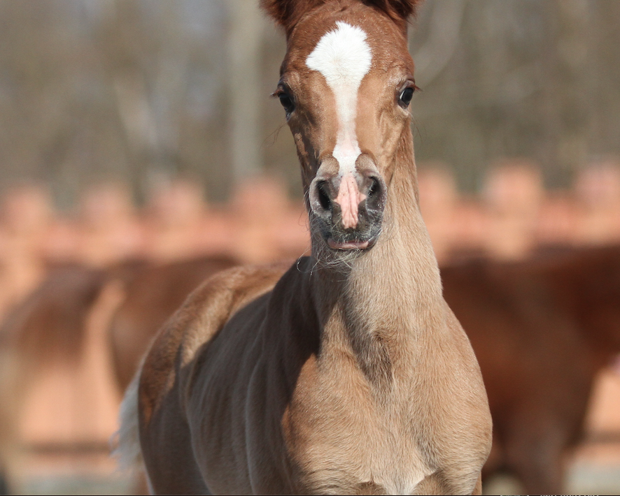 Снимок экрана 2021-04-11 в 12.44.50.png