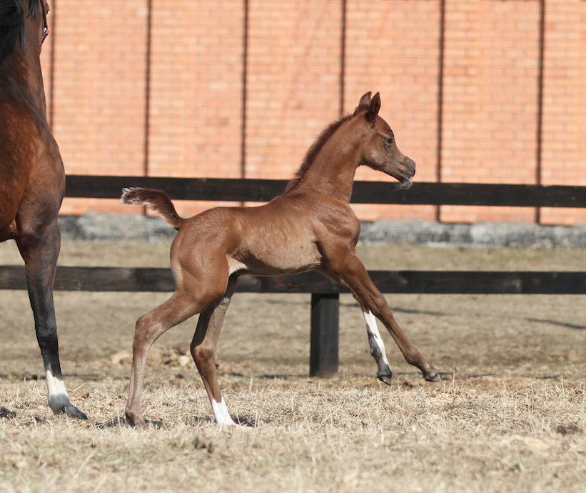 Снимок экрана 2021-04-11 в 13.38.24.png