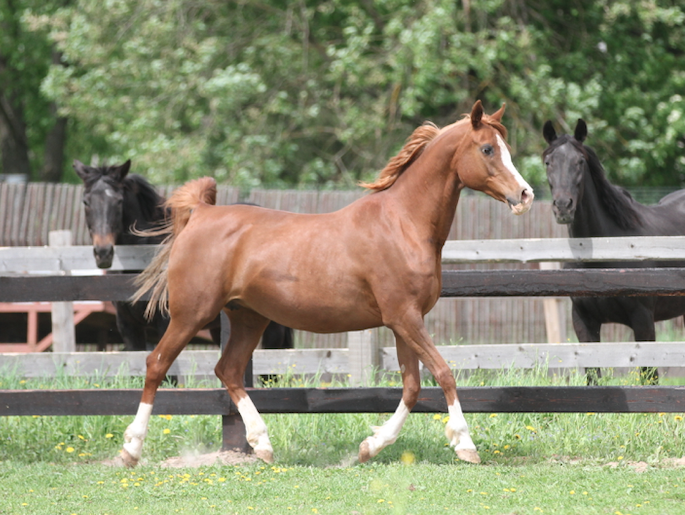 Снимок экрана 2021-05-29 в 13.28.06.png