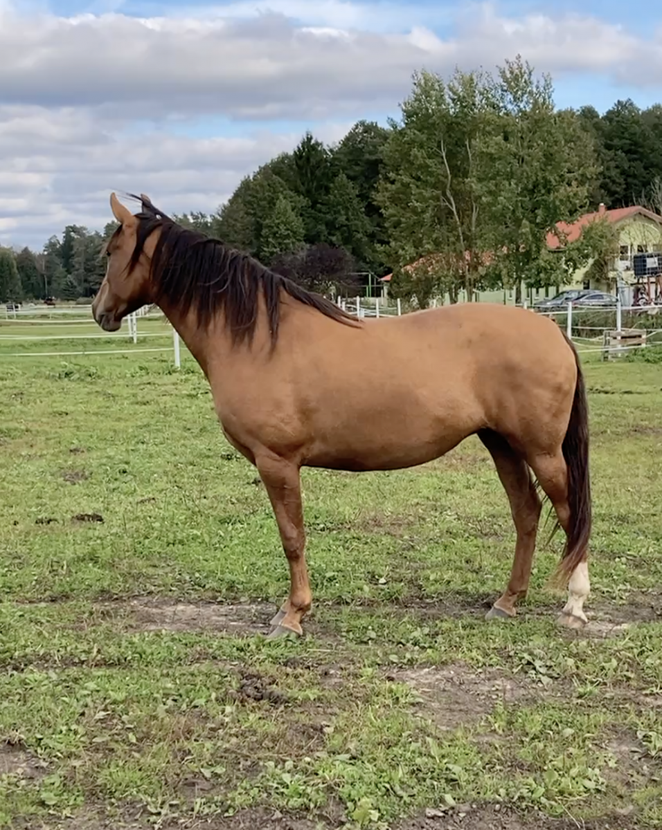 Снимок экрана 2025-10-04 в 19.19.32.png