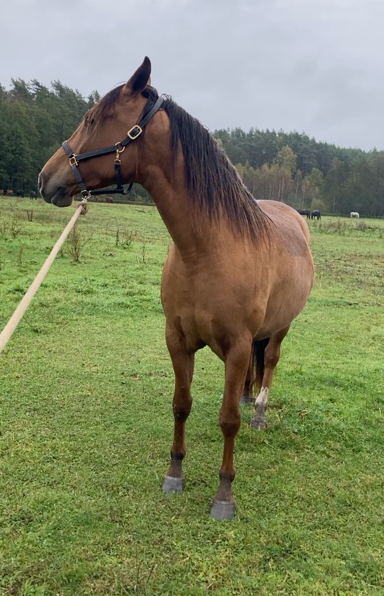 Снимок экрана 2025-10-15 в 00.06.22.png