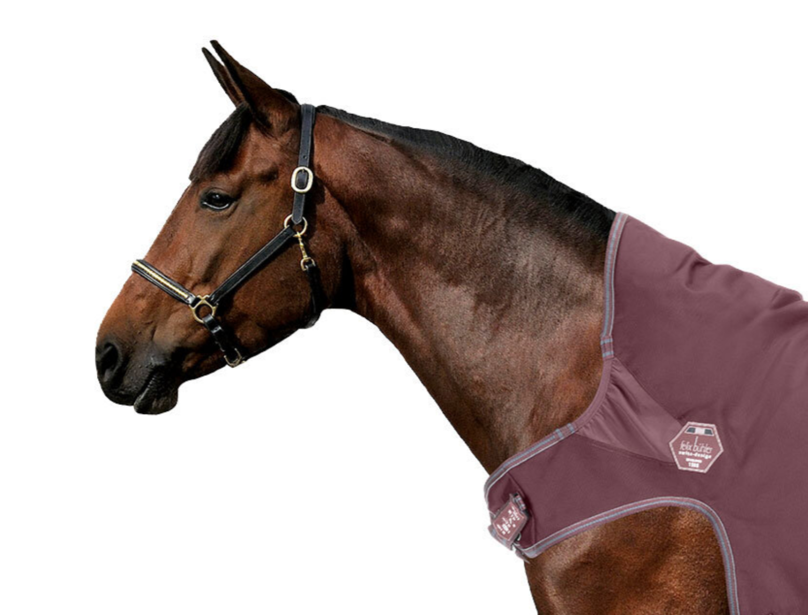 Снимок экрана 2025-10-16 в 00.39.37.png