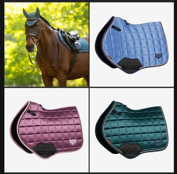 Снимок экрана 2026-03-08 221728.jpg