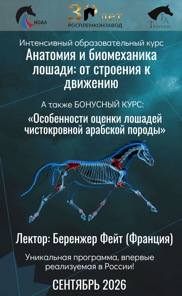 Снимок экрана 2026-07-30 в 12.36.43.png