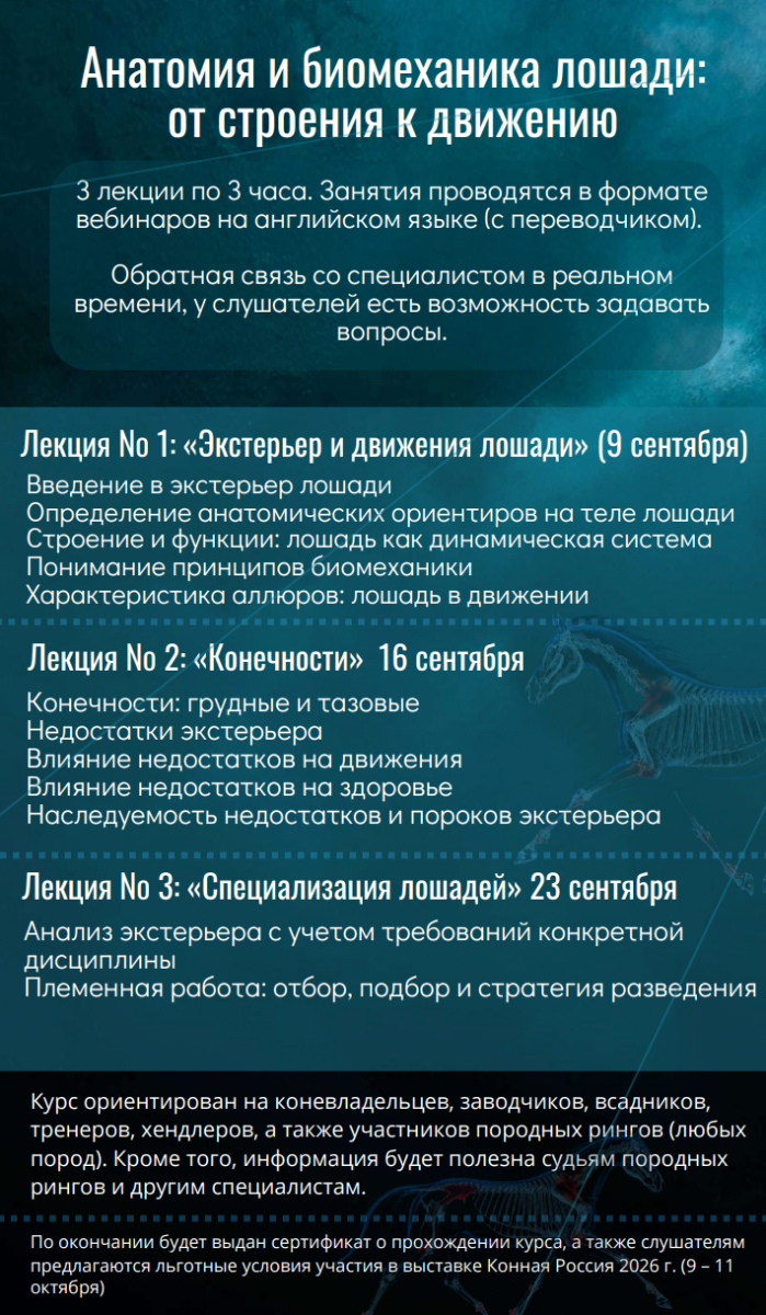 Снимок экрана 2026-07-30 в 12.36.53.png