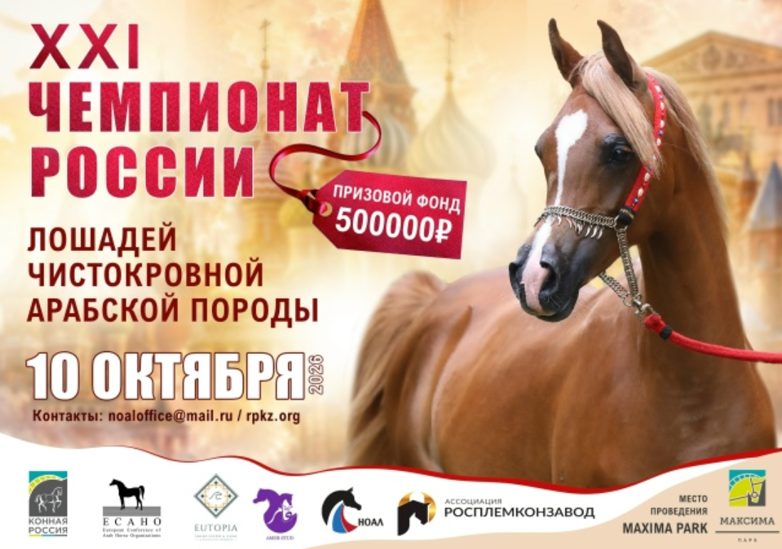 Снимок экрана 2026-08-17 в 10.47.06.png