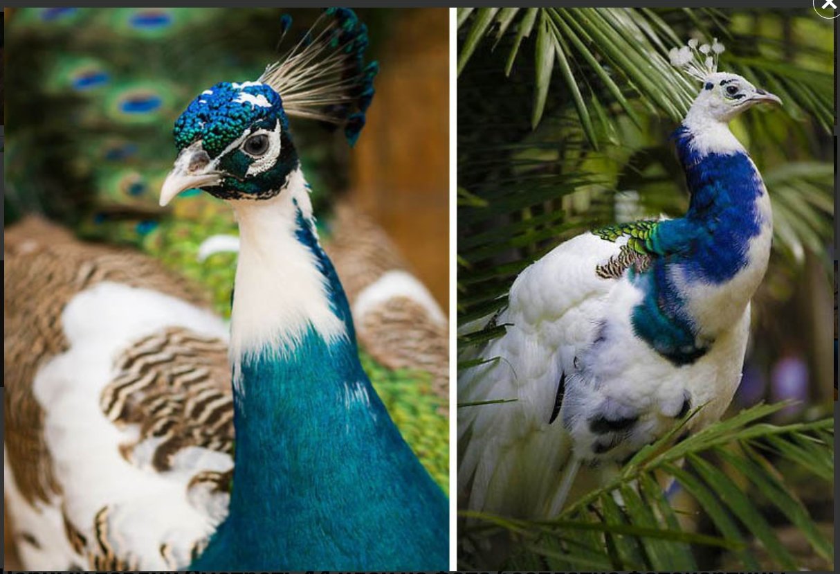 Снимок экрана_15-1-2025_20303_artminsk.ru.jpeg