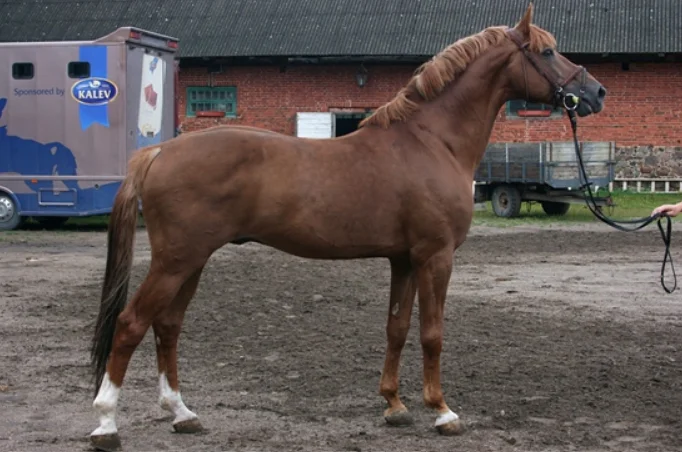Снимок экрана 2026-10-03 120517.webp