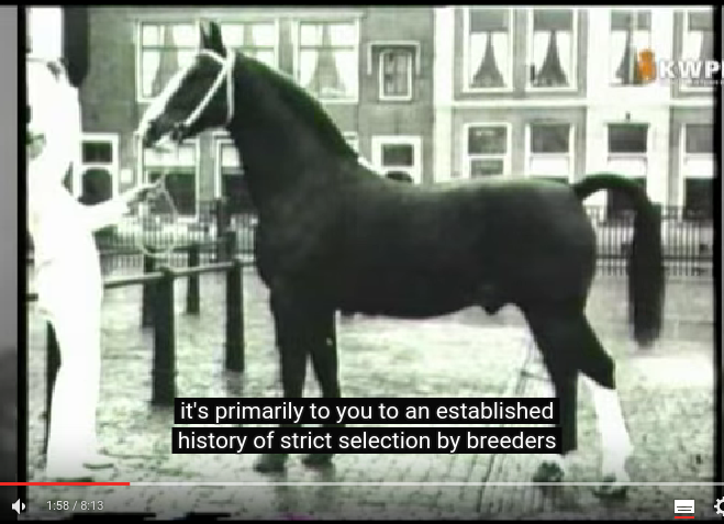 Снимок экрана от 2015-10-24 18:54:00.png