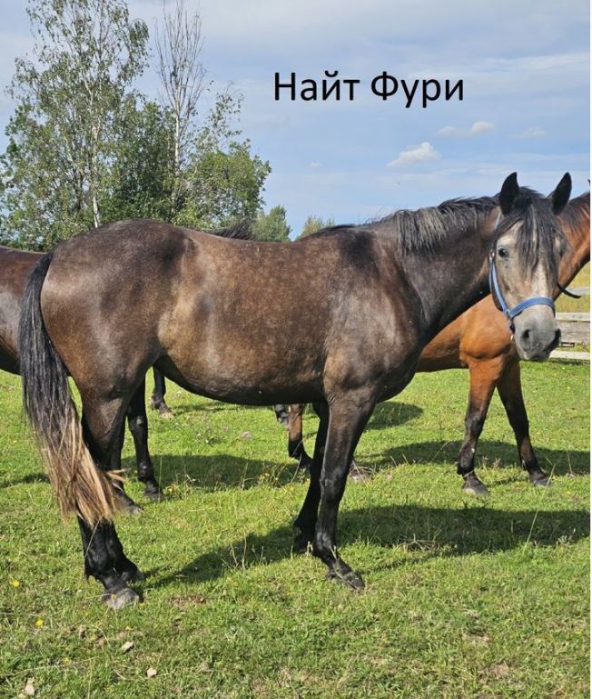 Снимок.JPG