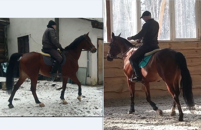 Снимок - копия.JPG