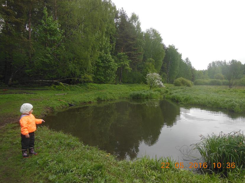 собаки 22.05.16 007_1.JPG