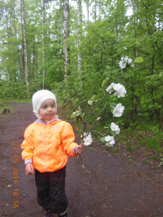 собаки 22.05.16 025_1.JPG