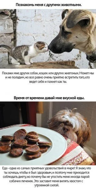 SozcXIJ8FBs.webp