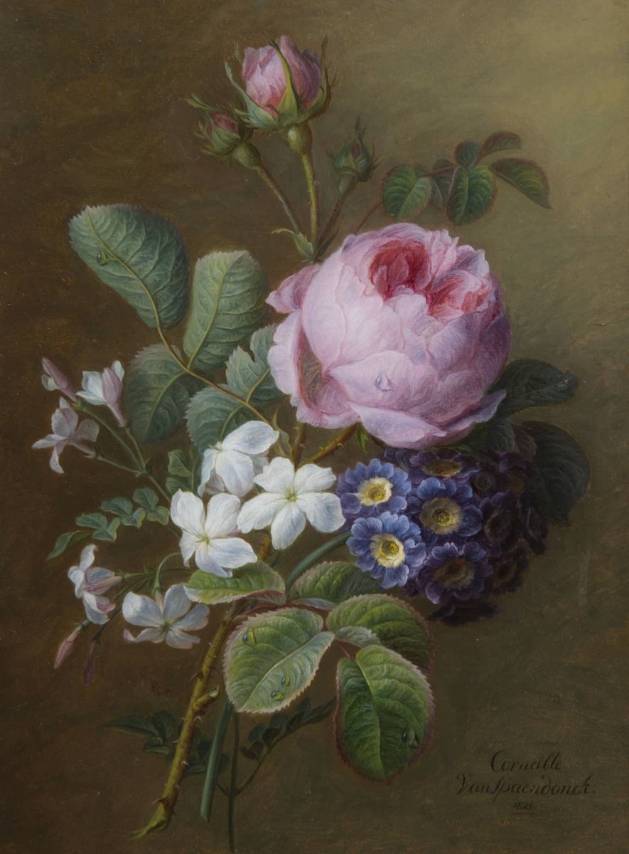 spaendonck-bouquet-de-roses-anciennes-jasmins-primeveres-fr.jpg