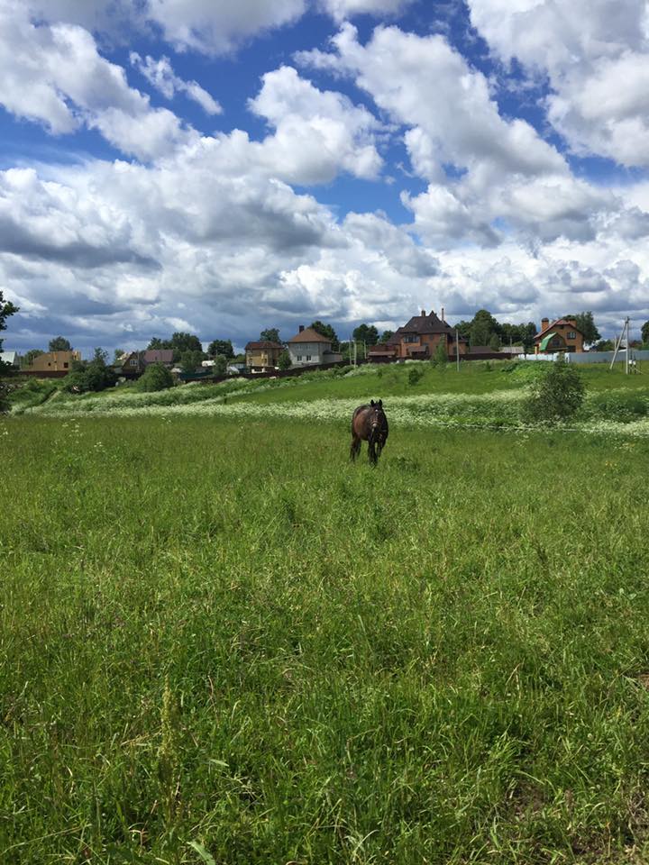 спартак гуляет.jpg