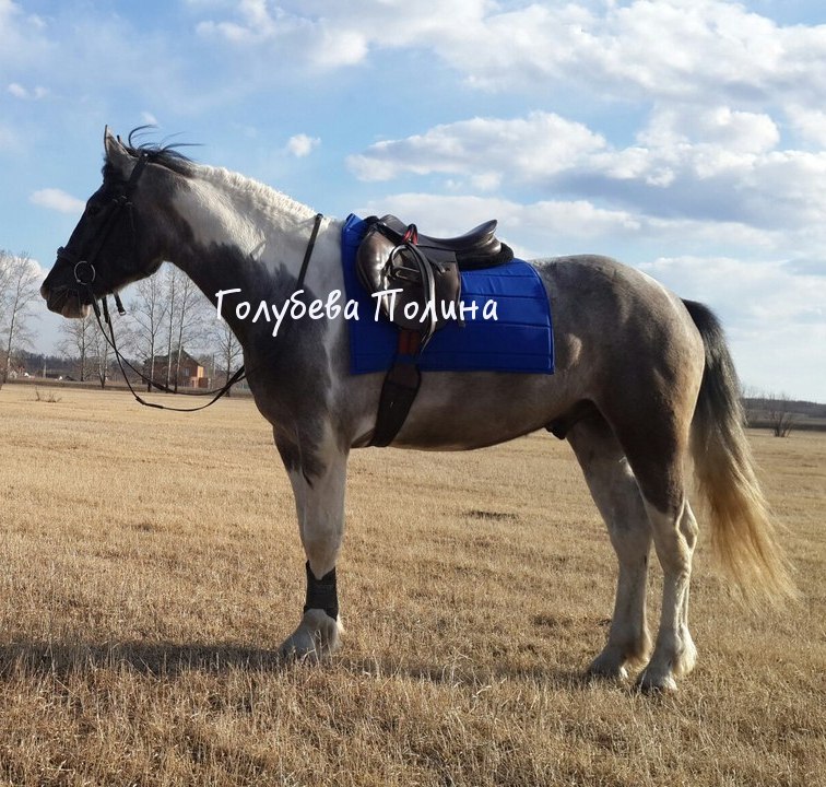 Спот1.jpg