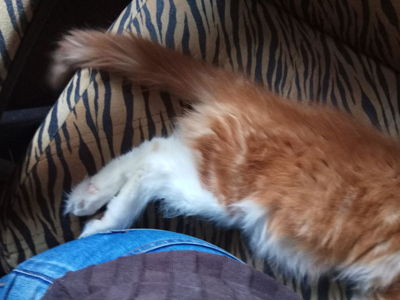 SS_183308.jpg