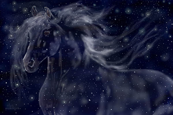 star horse.jpg