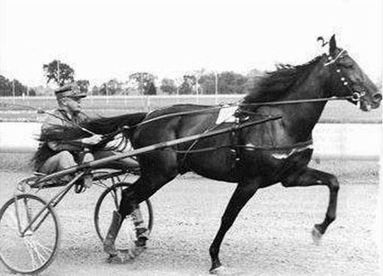 Star's Pride  1947.jpg